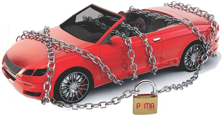 Vehicle Anti Theft Device | PUMA - The 