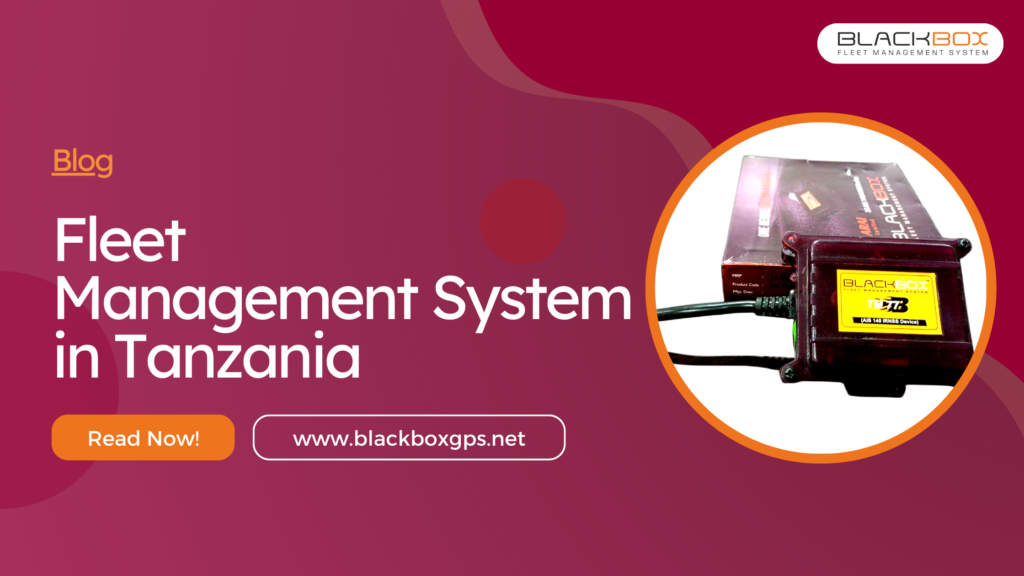 Fleet Management System in Tanzania